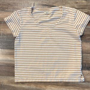 Madewell Tan and White Striped Tee